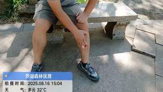 深圳梧桐山野猪种群数量呈增长态势 景区紧急提醒……