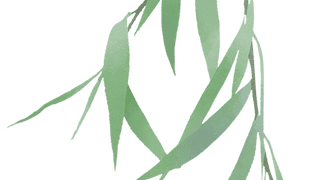 山海赴约，庐陵入厦！青原文旅亮相厦门，双向奔赴共启合作新篇