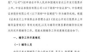 长江存储31人IPO“辅导天团”亮相，两券商同时押中“双子星”