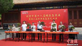 园林艺术融入多元场景 北京市第十六届精品盆景展在景山公园开幕