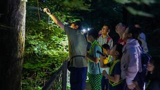 香山奇妙夜，寻访“山林夜客”！北京夏夜好去处