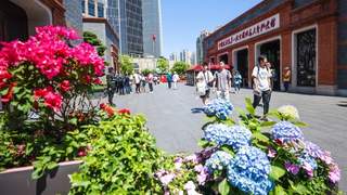 上海未来五年年均演出要达6.5万场 打造演艺精品策源地