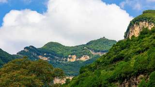 云丘山夏日凭自然降温远超空调 平均海拔千米森林覆盖率打造清凉胜境