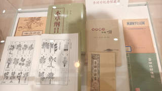 “东方本草，华夏色彩”丁融本草绘画展走进浦东图书馆