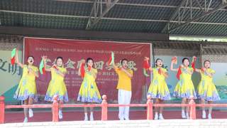 金凤区惠民演出进乡村 各族群众共赏文化盛宴暖人心