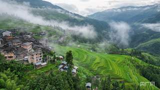 贵州从江加榜梯田盛夏叠翠绘就清新山野图景