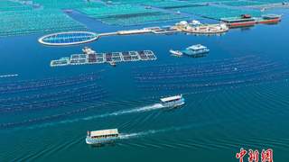 暑期山东海洋牧场海上休闲游热度攀升