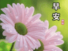 晨光启序，温柔赴朝