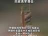 伊媒:伊朗打击美在中东目标 回应美军袭击