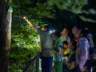 香山奇妙夜,寻访“山林夜客”!北京夏夜好去处