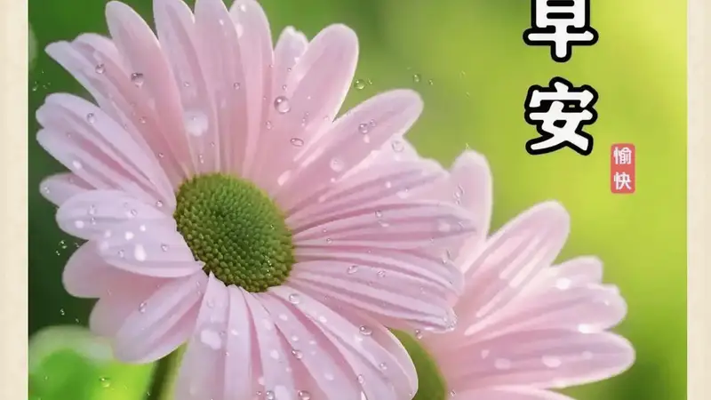 晨光启序,温柔赴朝
