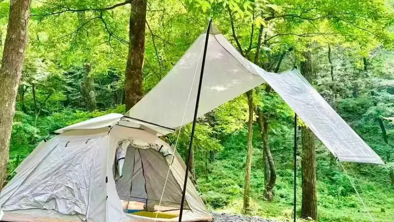 沙松岭露营地迎来城里游客 山村旅游创收富了村民
