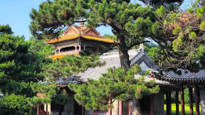 沈阳暑期3天2晚避暑游 美食避坑穿搭全攻略