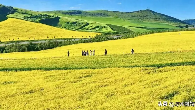 盘活清凉资源 点燃夏日经济！武威文旅市场热度持续攀升