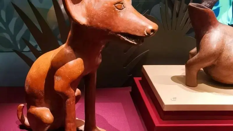 申一涵分享:《玉米·黄金·美洲豹——玛雅与安第斯古代文明大展》18