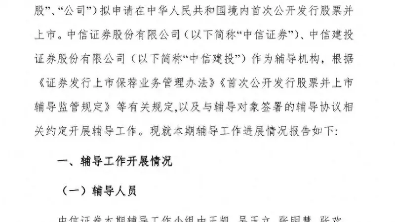 长江存储31人IPO“辅导天团”亮相,两券商同时押中“双子星”