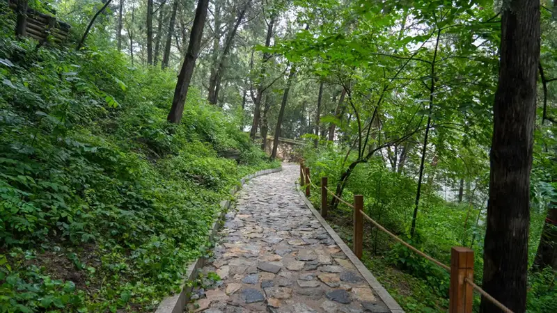避暑胜地+1,香山公园古树保护示范区全新开放