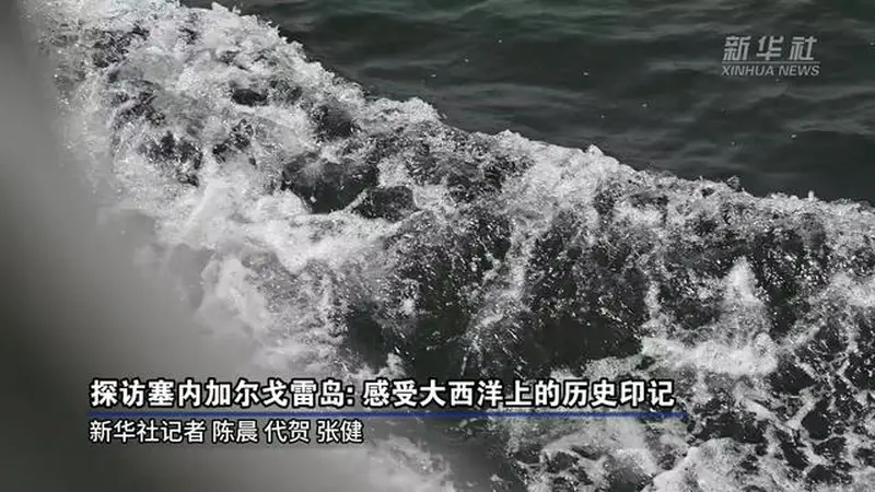戈雷岛:大西洋上的奴隶贸易遗迹与历史回响