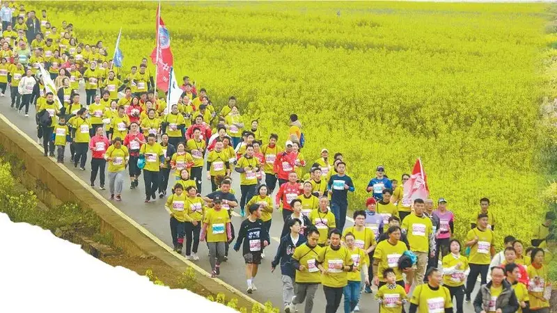 云南全域花卉旅游布局成型 多线路打造世界花园之旅