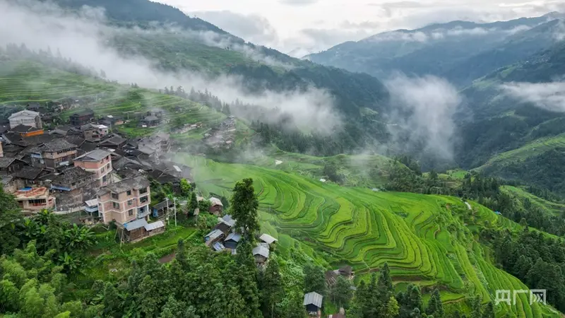 贵州从江加榜梯田盛夏叠翠绘就清新山野图景