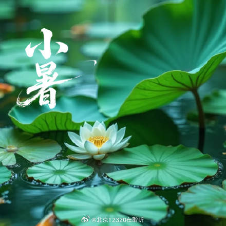 小暑饮食推荐：健脾化湿清心火，益气养阴消暑热