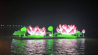 夜游淮阳赏荷韵 古今相融点亮水城夏夜