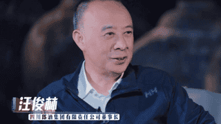 汪俊林：把中国人的勤劳和真诚带向全世界