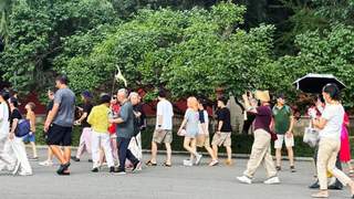 暑期长春伪满皇宫日接待游客破万人次 执法管控护航游客安心游