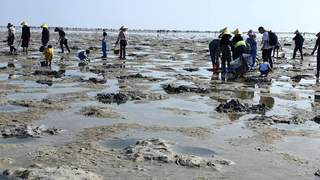 合浦沙岗镇赶海必看：点位、潮汐查询与注意事项