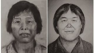 人贩子梅姨案关键嫌犯谢家梅落网 案件进入审查起诉环节