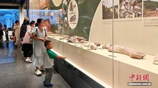 “巨兽觉醒”广西恐龙科普大展亮相江苏无锡