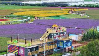 萝北县农趣绿意休闲体验游线路推荐