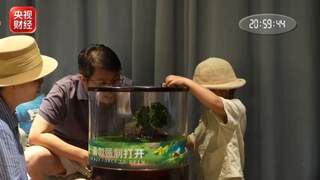 星空住宿、乡村夜游……多地夜经济热力全开,解锁新玩法→