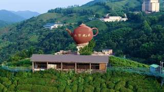 豫皖门户藏秘境,禅茶红韵陈淋子