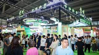 万物皆可抹！贵州茶如何成为深圳人的“新特产”？