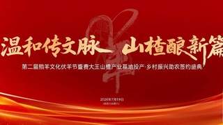 2026费县第二届羵羊文化伏羊节，7月19日火热来袭！