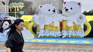 亮点抢先看！第36届青岛国际啤酒节崂山会场整装待发