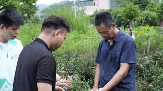 探秘珍稀紫芽茶，溯源千年柏塘茶史｜我院 “笃志向善”突击队实地走访茶种培育园