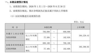 AI赛道周末“报喜”：9家公司业绩预增，光模块算力端侧领跑