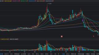 立新能源6连板背后：机构资金涌入龙虎榜揭示资金动向