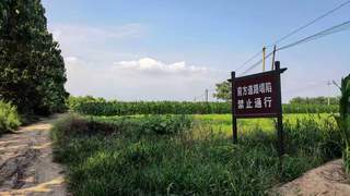 山西稷山路面塌陷现白骨 属玉壁之战时期遗存