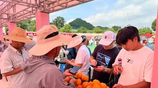 永乐桃韵市集周末开集 鲜果特产非遗美食引游客乐享