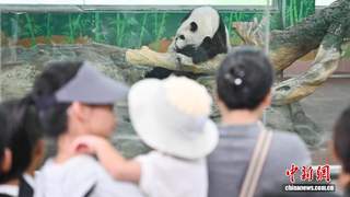 7月29日广州动物园暑期人气旺 亲子游客扎堆打卡