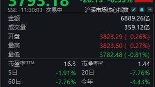 沪指半日下跌0.53% A股今日震荡下行