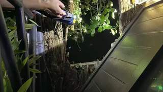 梅州凌晨景区湖边木板断裂 15岁女孩不慎落水溺亡 景区称木板不在维修范围内正协商 警方已介入