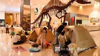 江苏多地夜游启幕 瘦西湖啤酒季等活动扎堆上线