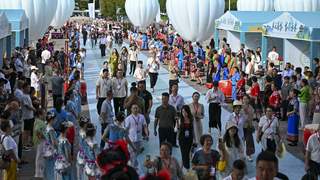 第四届来凤国际藤茶大会今日正式启幕