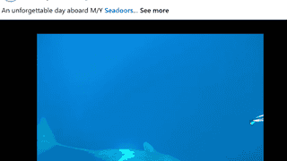 菲律宾七月海域邂逅抹香鲸 苏禄海船宿行程收获惊喜