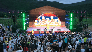 南岔梧桐小镇森林音乐季正式启幕 激活夏日文旅消费新引擎