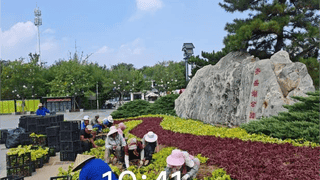 市公园城市服务中心启动齐盛湖公园管护提质行动 优环境保安全提体验